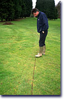 Moleplow image.